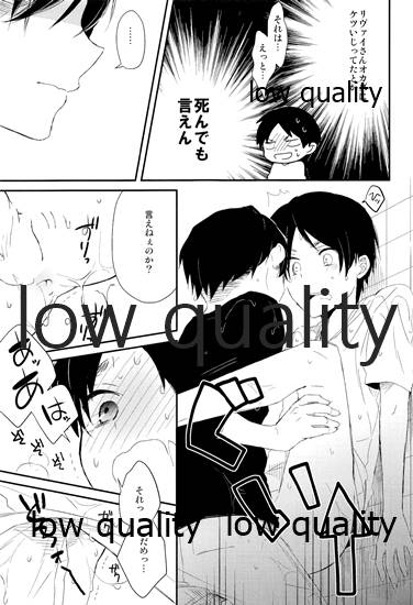 (第3回壁外調査博) [詰まりました (つむみ)] 雨の日はいつもふたりで××! (進撃の巨人)