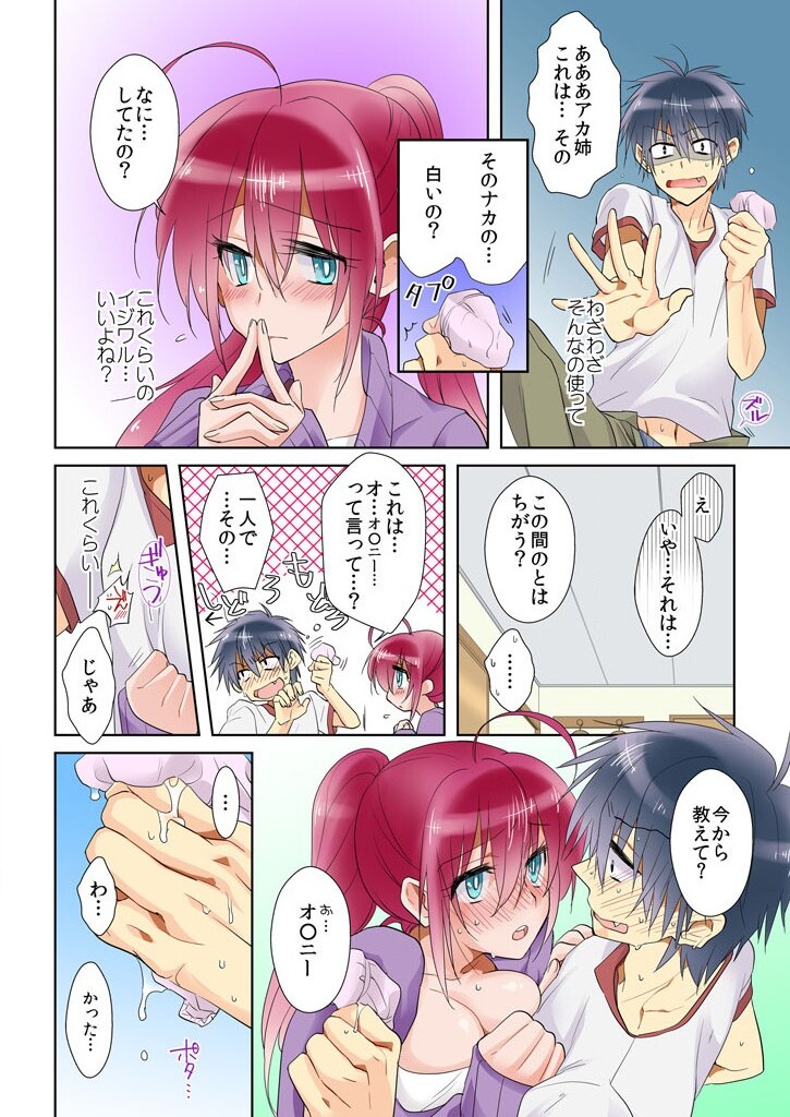 [聖] 俺の姉貴は記憶喪失-セックスってなぁに？(2)