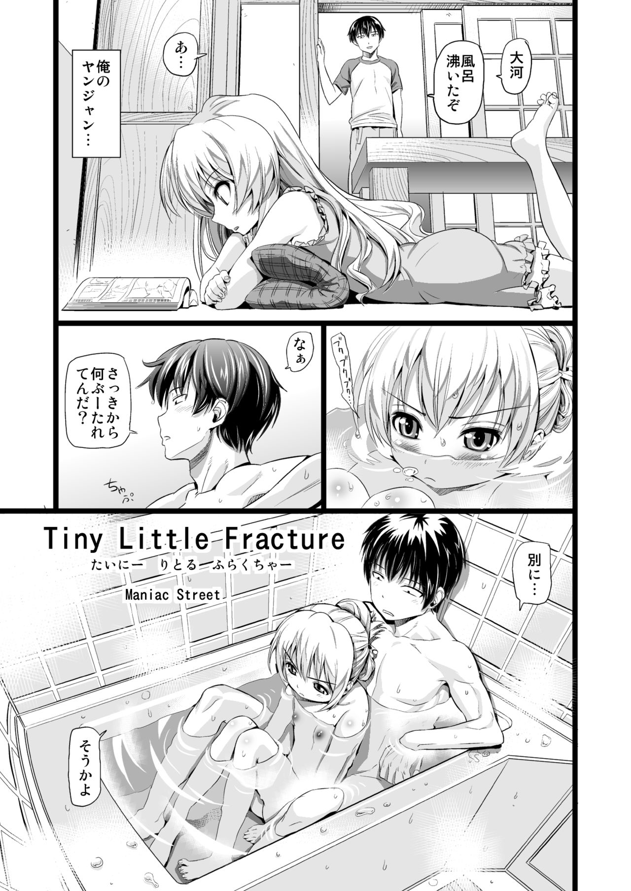 [Maniac Street (すがいし)] Tiny Little Fracture (とらドラ！) [DL版]