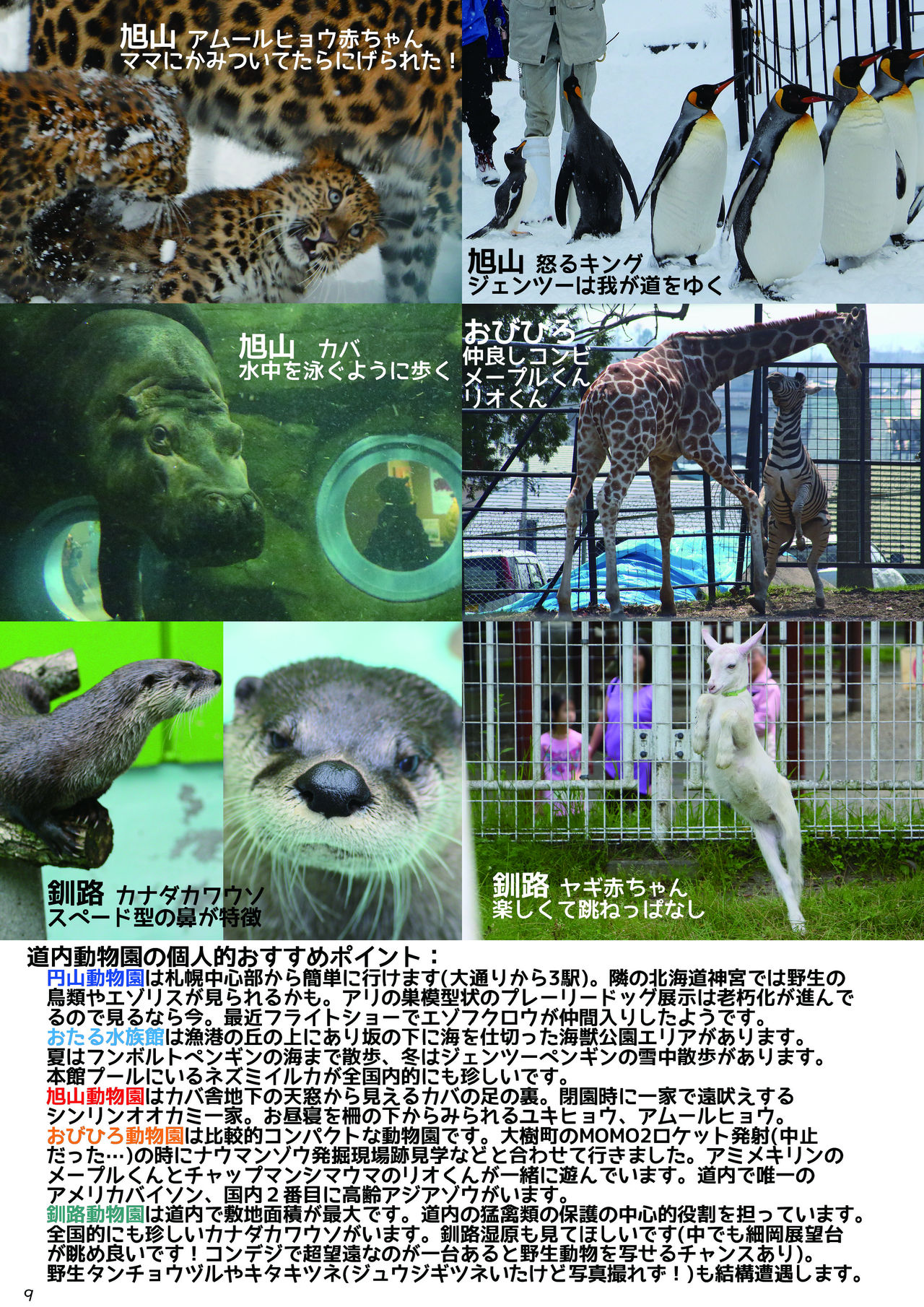 [mayけものフレンズ (よろず)] mayけものフレンズスレ合同誌2 (けものフレンズ) [DL版]