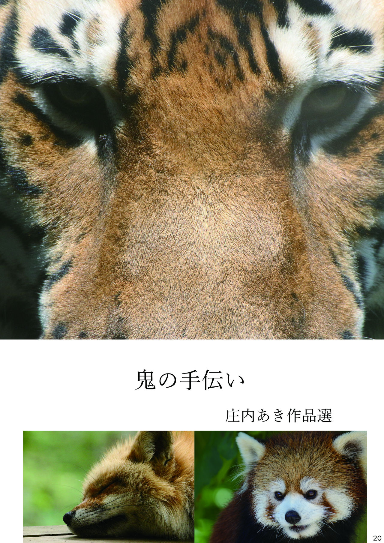 [mayけものフレンズ (よろず)] mayけものフレンズスレ合同誌2 (けものフレンズ) [DL版]