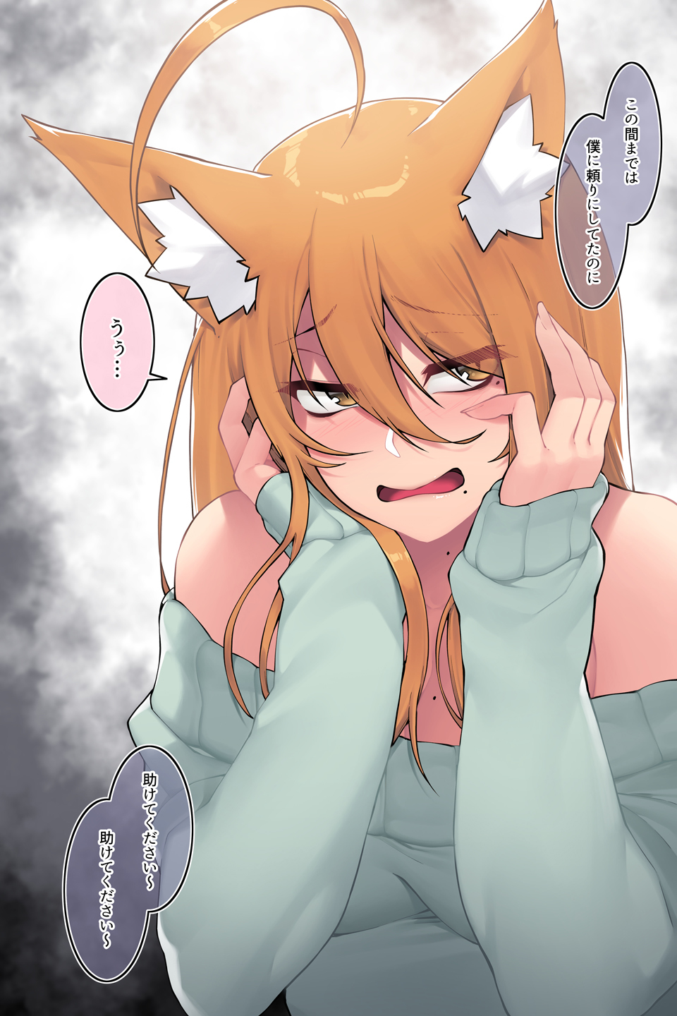 となりのゆきさん