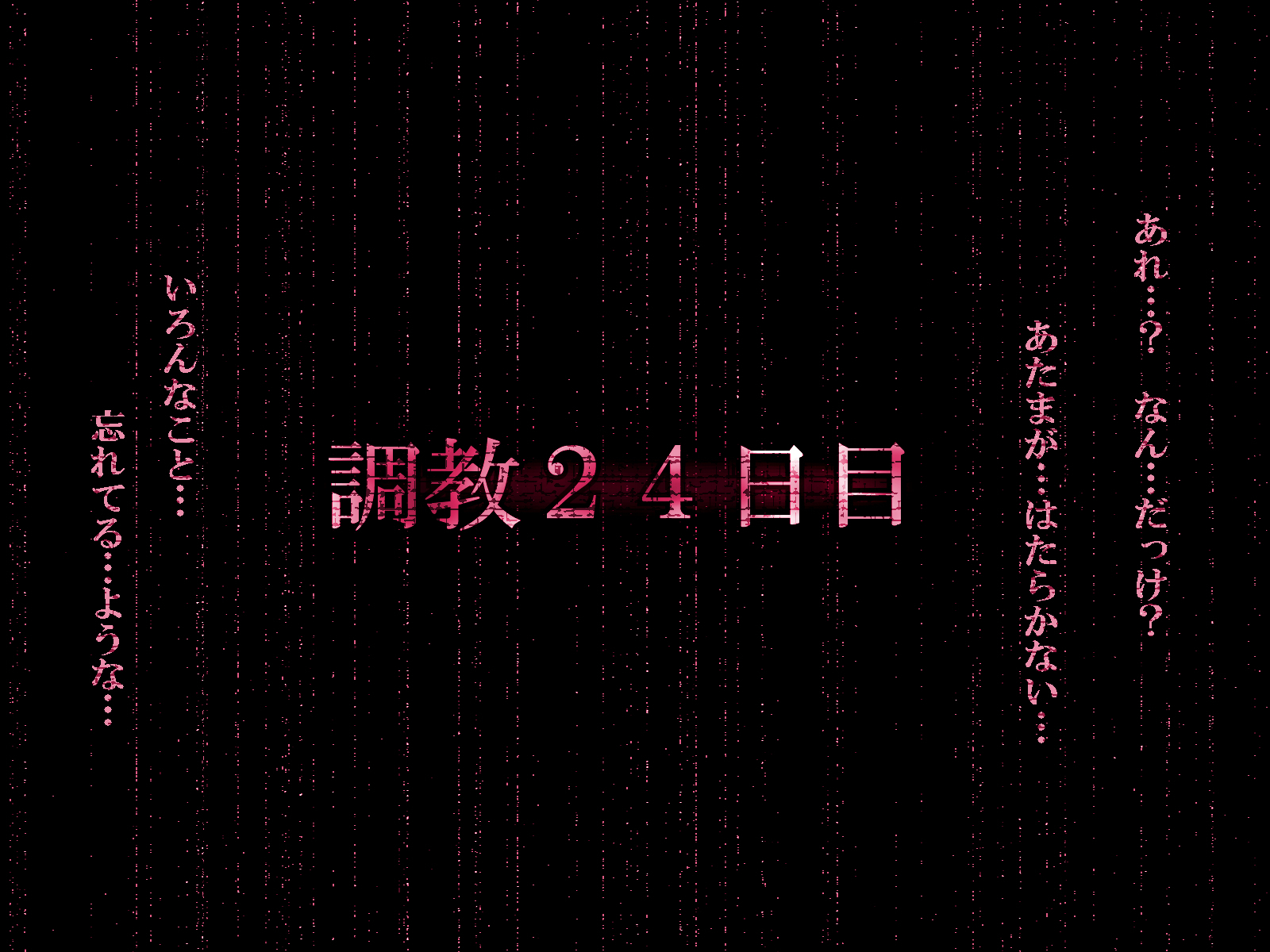 『檻』ー淫肉調教録ー