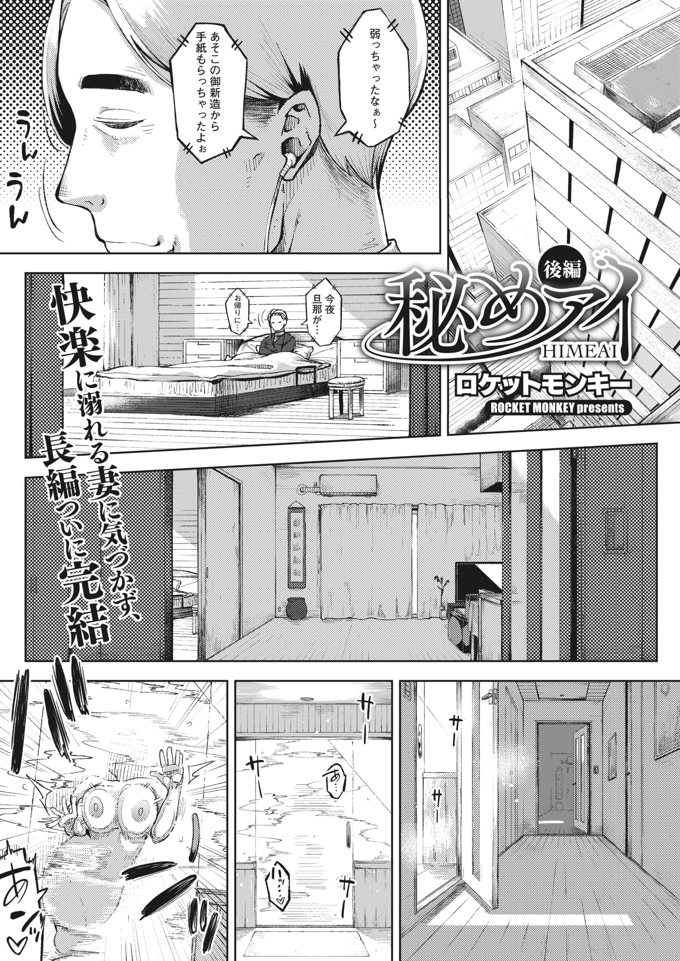 HIMEAI CH1-3