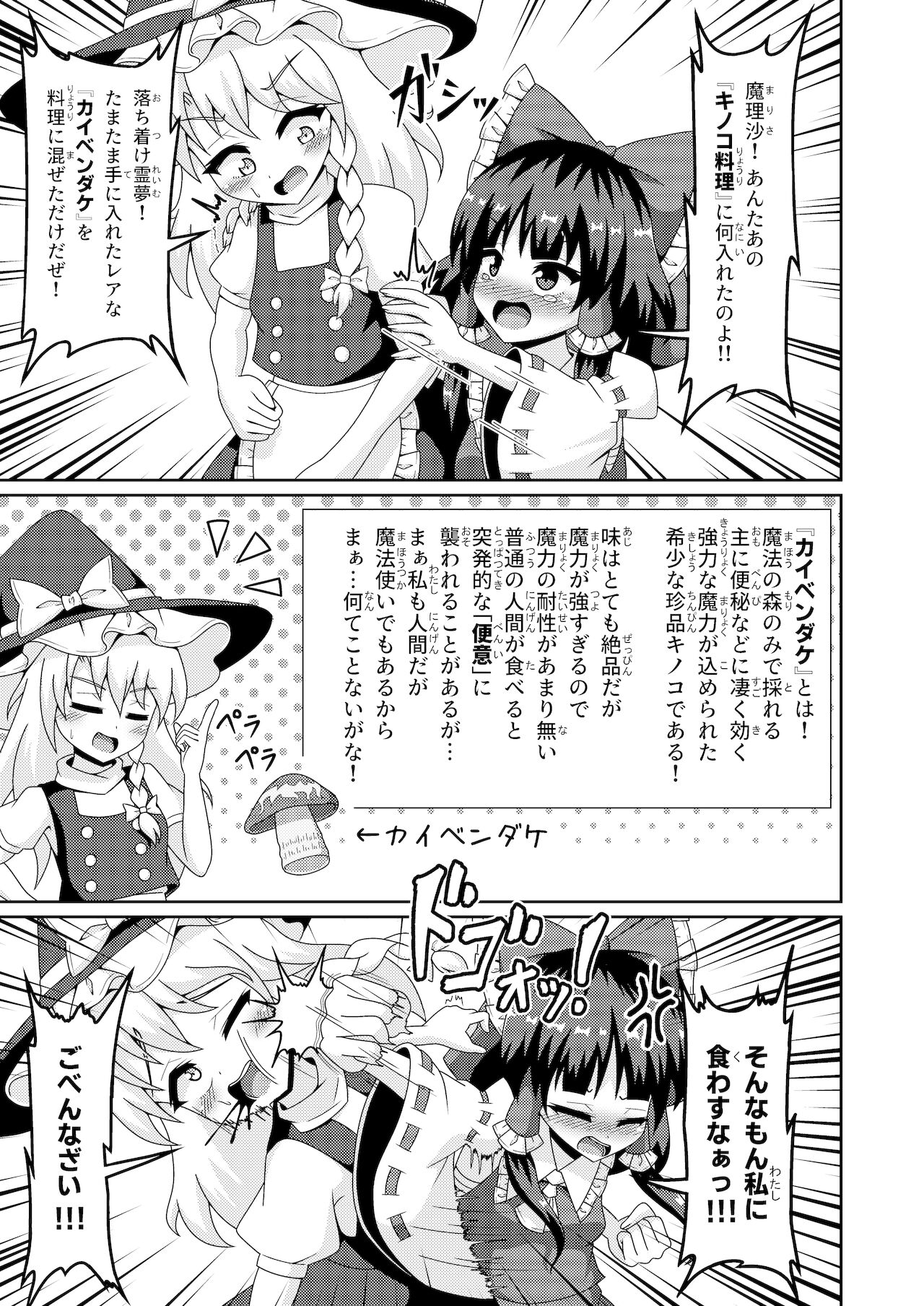 [ルドニック星人 (セイルド)] 霊夢の不運な大異変 (東方Project) [DL版]