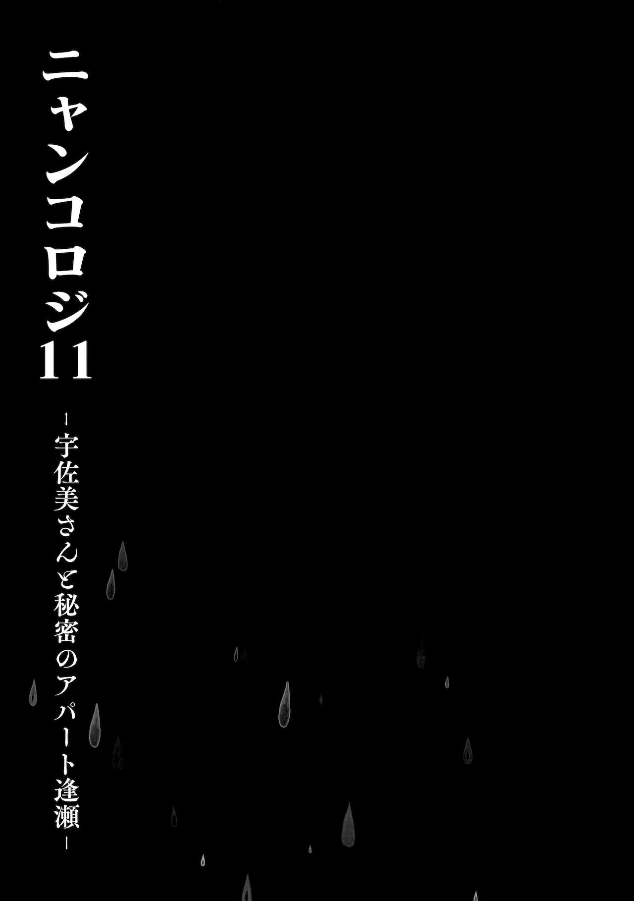 (メガ秋葉原同人祭 第1回) [きのこのみ (konomi)] ニャンコロジ11 -宇佐美さんと秘密のアパート逢瀬-