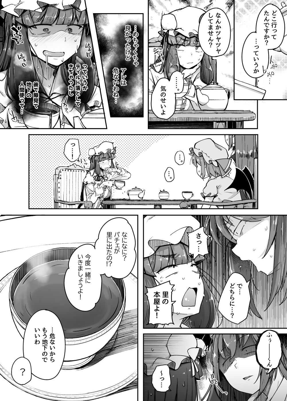 [自家発電処 (flanvia)] 穴とむっつりどすけべだいとしょかん 4 (東方Project) [DL版]